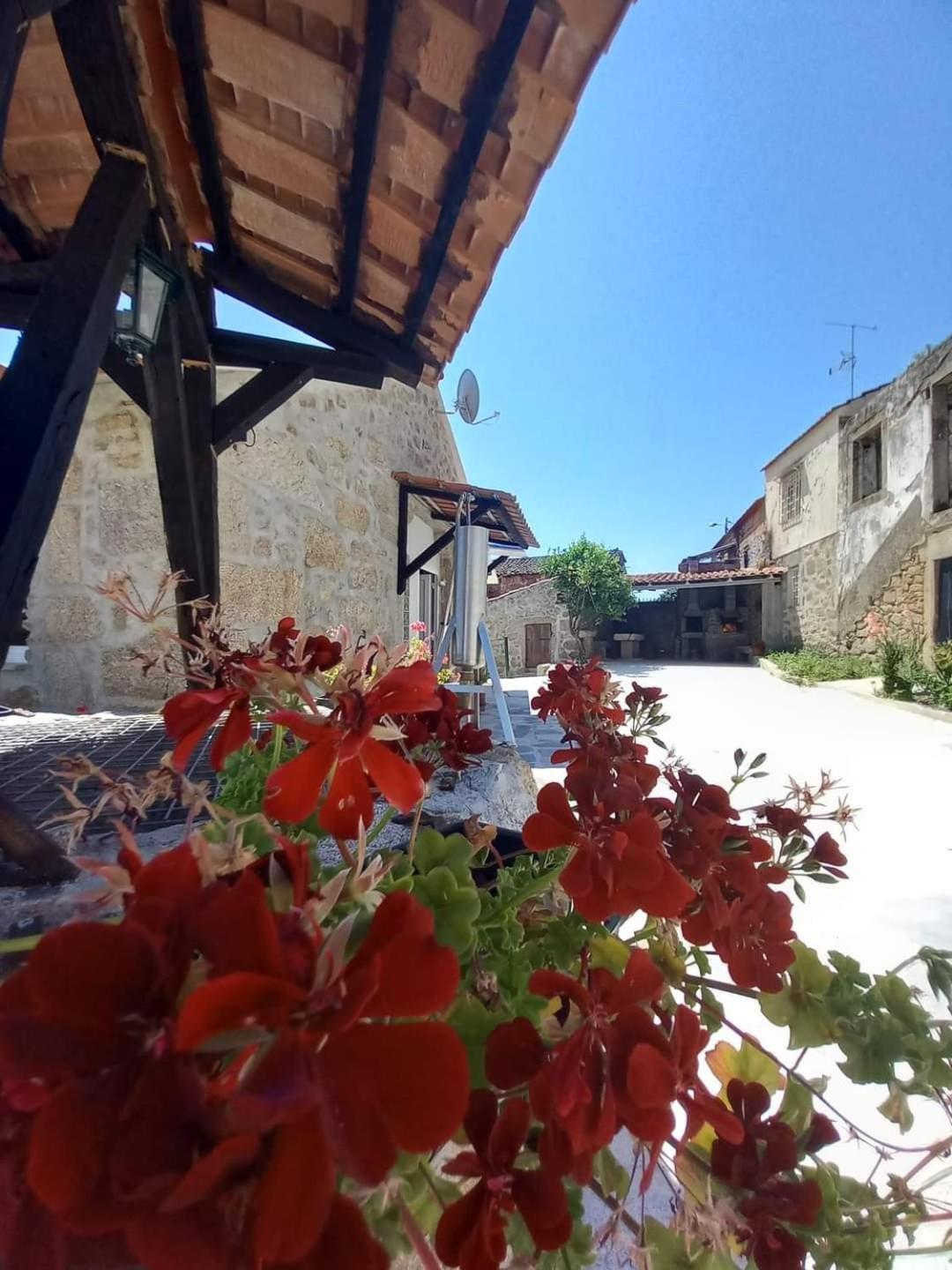 Quinta Do Cruzeiro Villa Mata  Eksteriør bilde